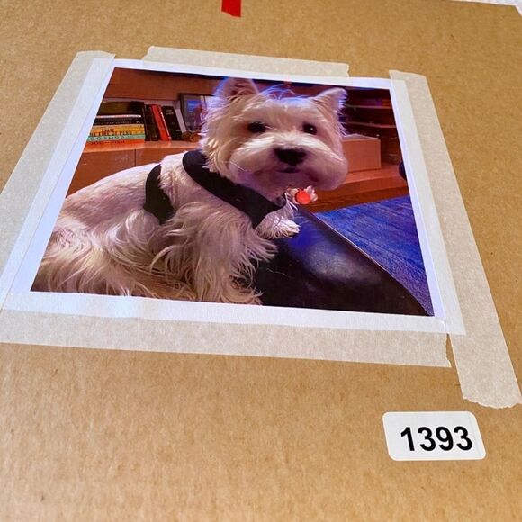 1393 Needlepoint Canvas Westie White Highland Terrier 14” x 14” NWT - Picture 3 of 3